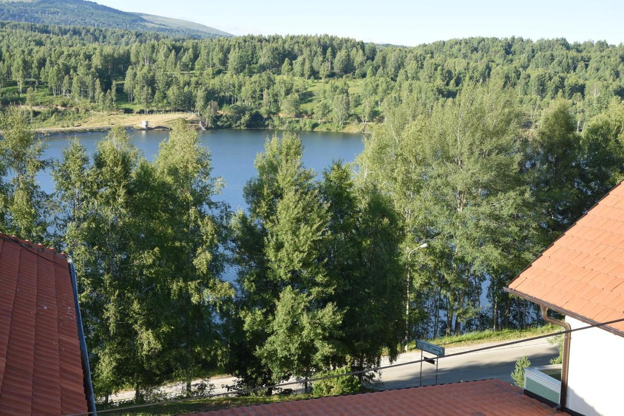 Mm Narcis Bed & Breakfast Власина Рид Екстериор снимка